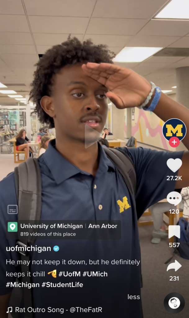 Screenshot of a TikTok